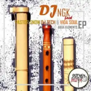 Dj Ngk - Somewhere In Mzansi Ft. Vida Soul